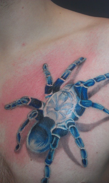 Tatuagens de aranhas (46)