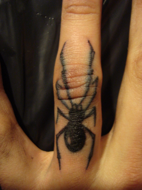 Tatuagens de aranhas (45)