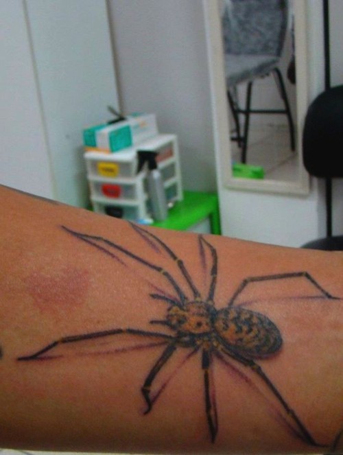 Tatuagens de aranhas (42)
