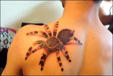 Tatuagens de aranhas (40)