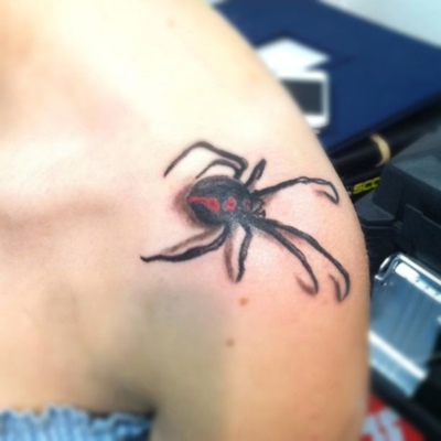 Tatuagens de aranhas (29)