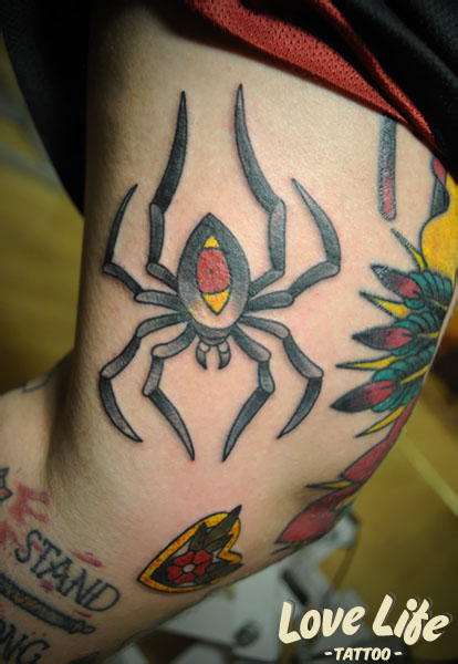 Tatuagens de aranhas (27)