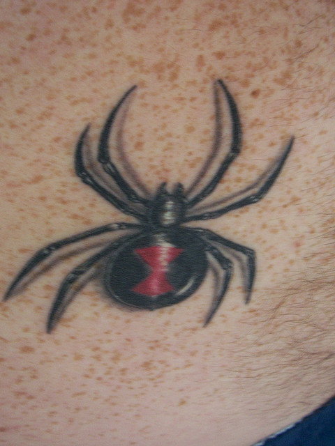 Tatuagens de aranhas (26)