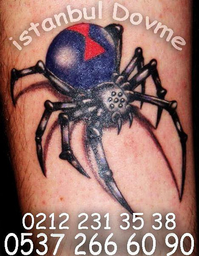 Tatuagens de aranhas (25)