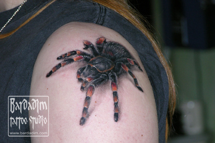 Tatuagens de aranhas (22)