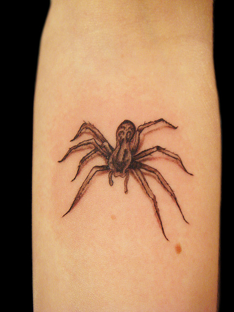 Tatuagens de aranhas (21)