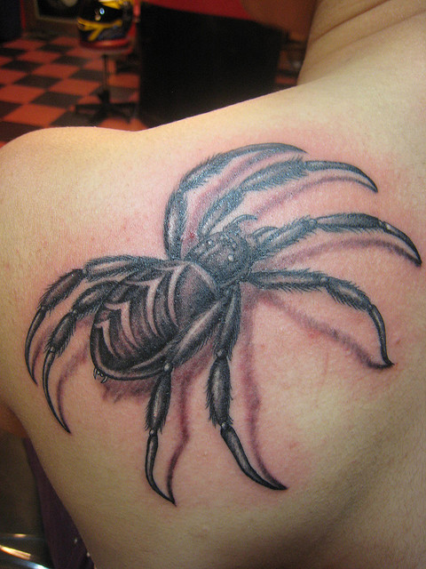 Tatuagens de aranhas (18)