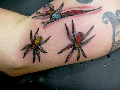 Tatuagens de aranhas (17)