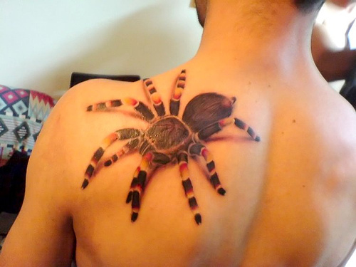 Tatuagens de aranhas (16)