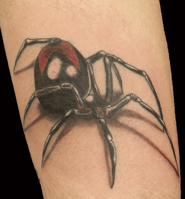Tatuagens de aranhas (15)