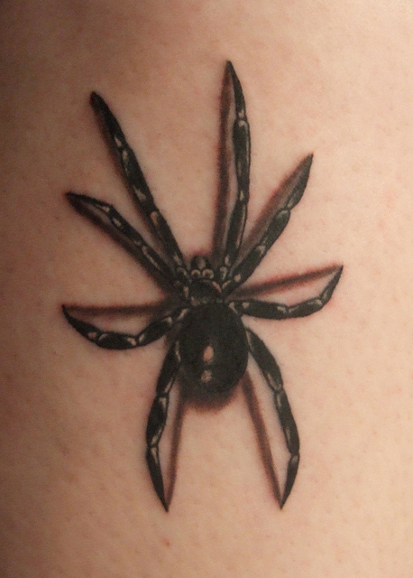 Tatuagens de aranhas (14)