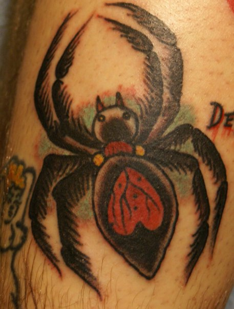 Tatuagens de aranhas (12)