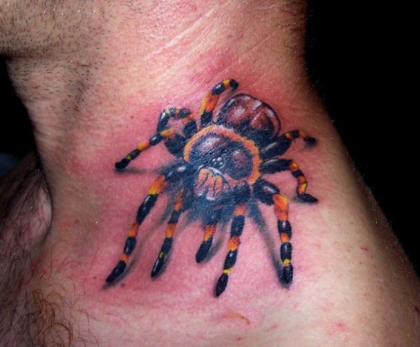 Tatuagens de aranhas (11)
