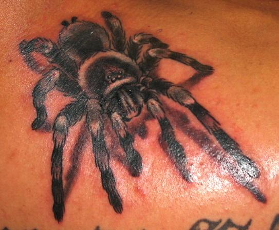 Tatuagens de aranhas (9)