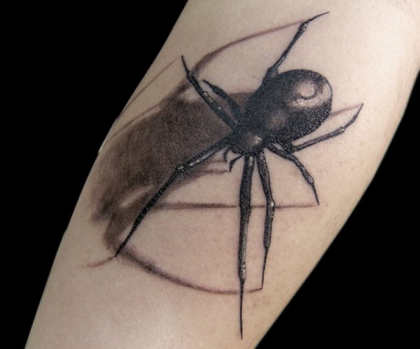 Tatuagens de aranhas (6)