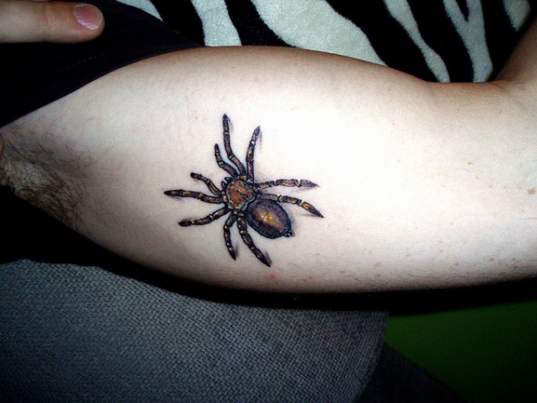 Tatuagens de aranhas (5)