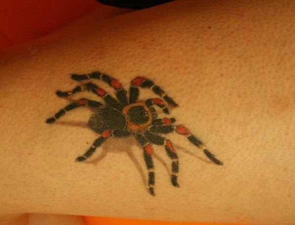 Tatuagens de aranhas (4)
