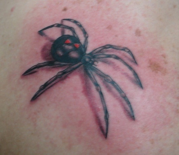 Tatuagens de aranhas (3)