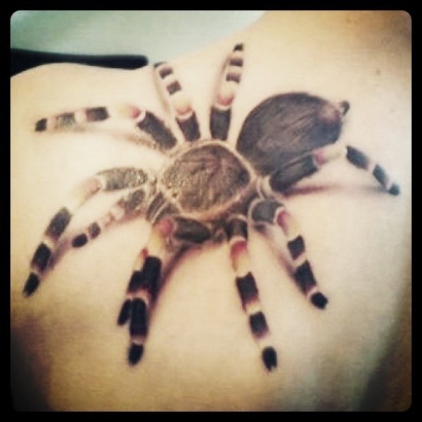 Tatuagens de aranhas (2)