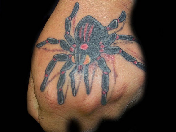 Tatuagens de aranhas (1)