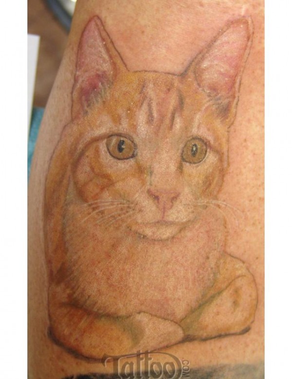 Tatuagens de fatinhos (58)