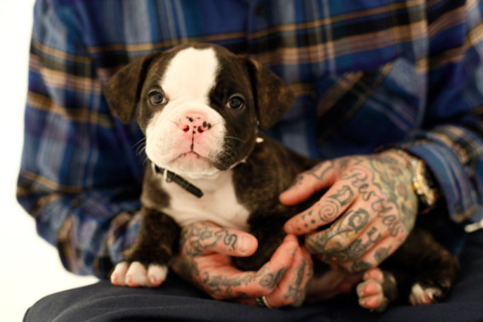Pessoas Tatuadas com Cães de estimação (50)