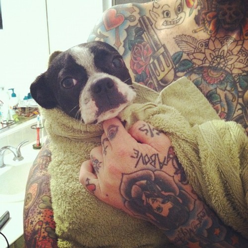 Pessoas Tatuadas com Cães de estimação (49)