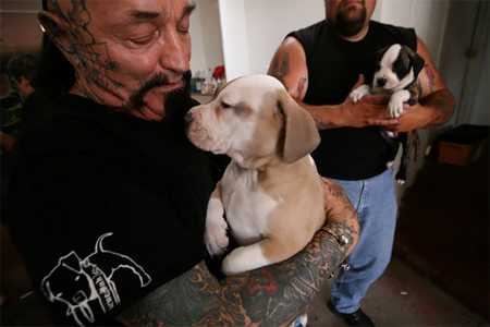 Pessoas Tatuadas com Cães de estimação (39)
