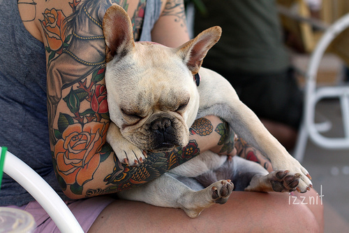 Pessoas Tatuadas com Cães de estimação (38)