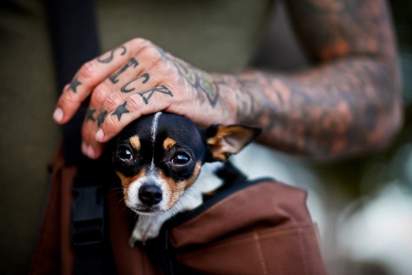 Pessoas Tatuadas com Cães de estimação (36)