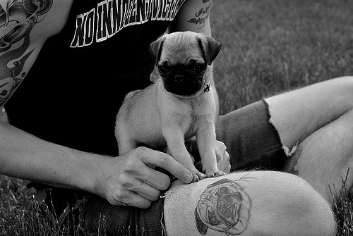 Pessoas Tatuadas com Cães de estimação (35)