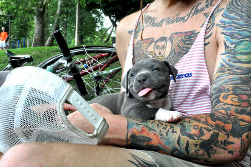 Pessoas Tatuadas com Cães de estimação (31)