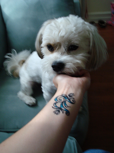 Pessoas Tatuadas com Cães de estimação (24)