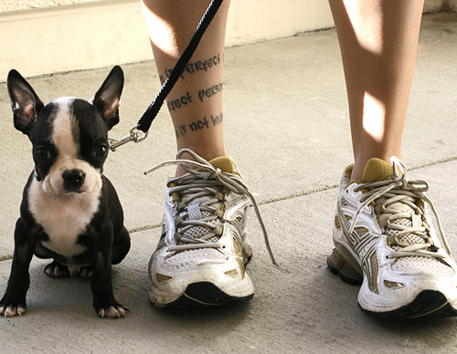 Pessoas Tatuadas com Cães de estimação (19)