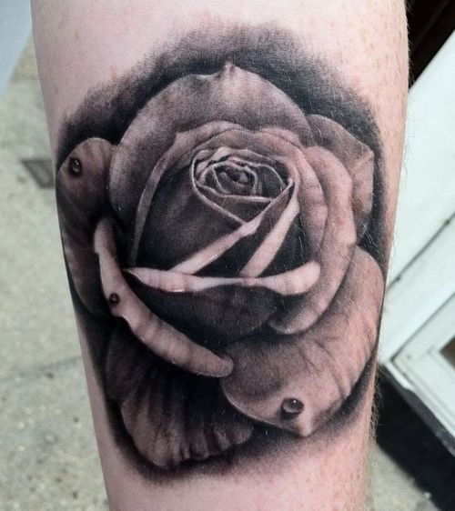 Fotos de tatuagens de rosas (4)