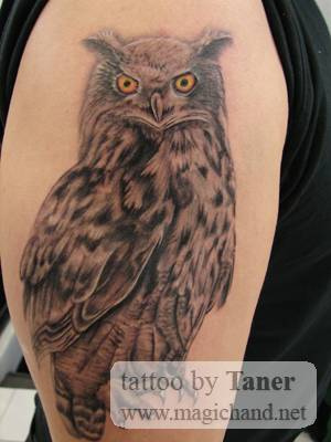 Tatuagens criativas de corujas (150)