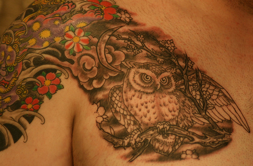 Tatuagens criativas de corujas (139)