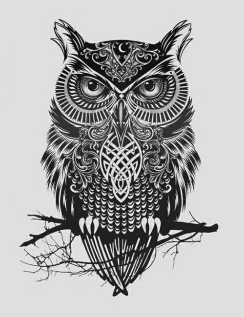Tatuagens criativas de corujas (124)