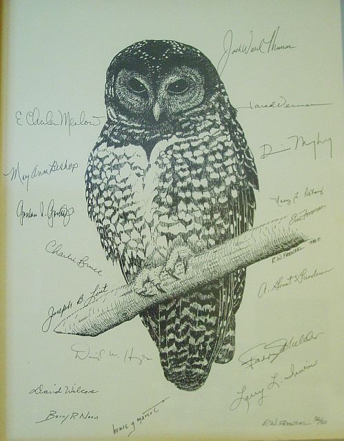 Tatuagens criativas de corujas (119)