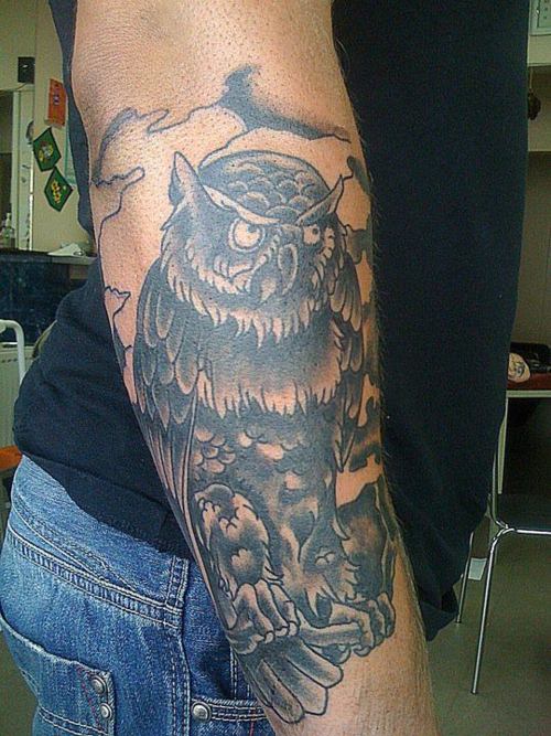 Tatuagens criativas de corujas (70)