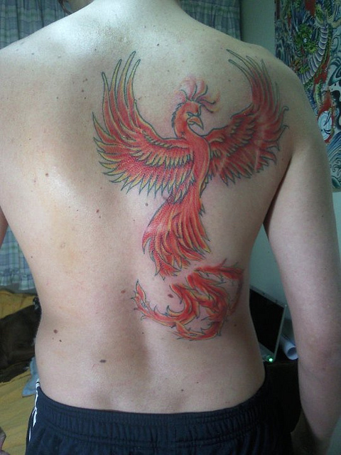 Tatuagens da Fênix (93)