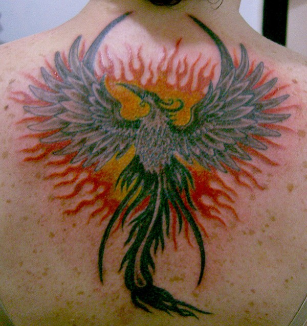 Tatuagens da Fênix (84)
