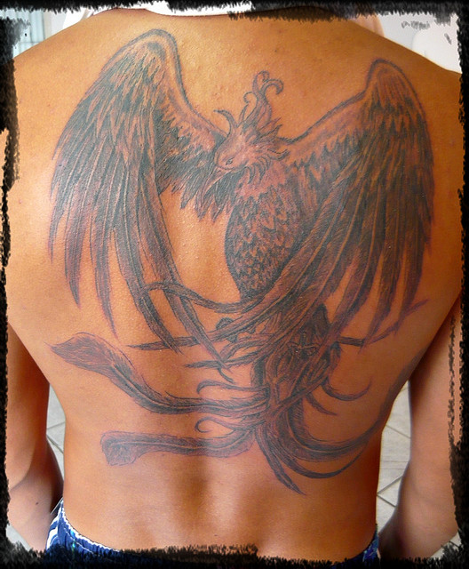 Tatuagens da Fênix (83)
