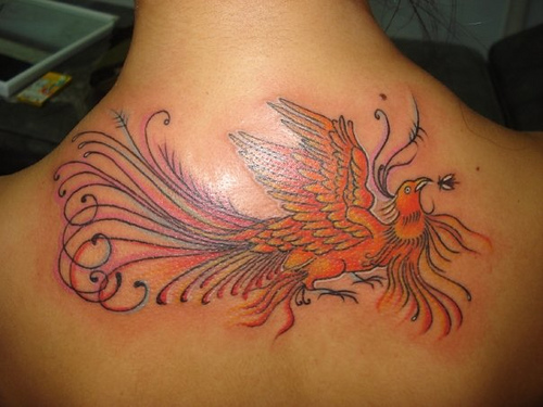 Tatuagens da Fênix (79)