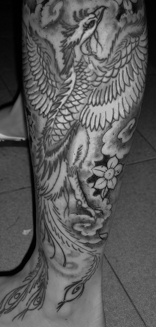 Tatuagens da Fênix (77)