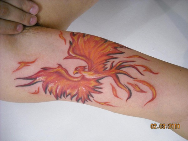 Tatuagens da Fênix (75)