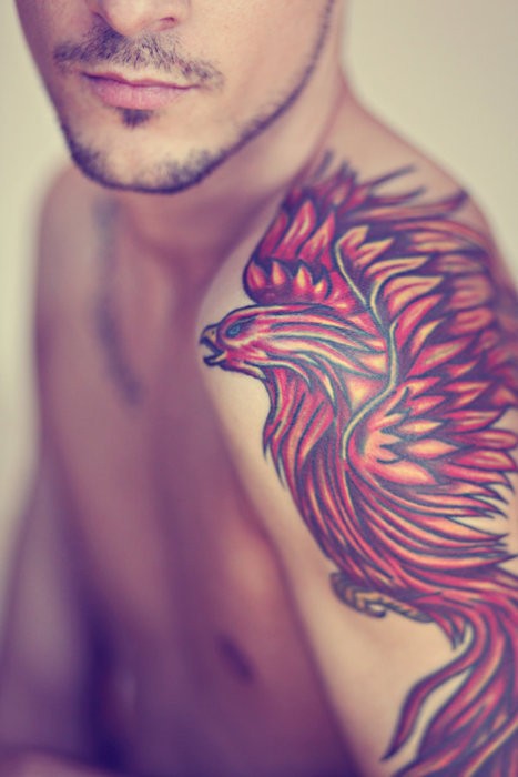 Tatuagens da Fênix (66)