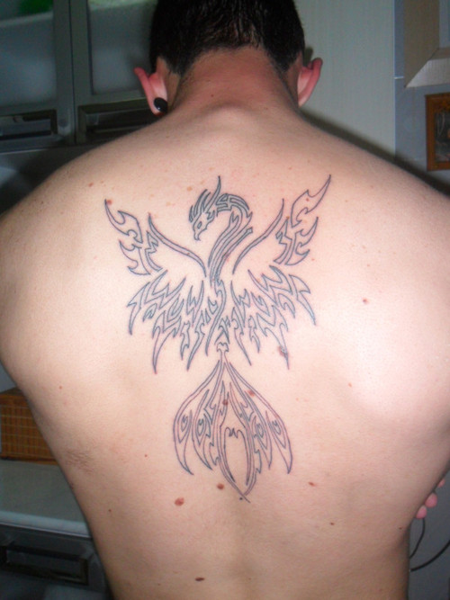 Tatuagens da Fênix (63)