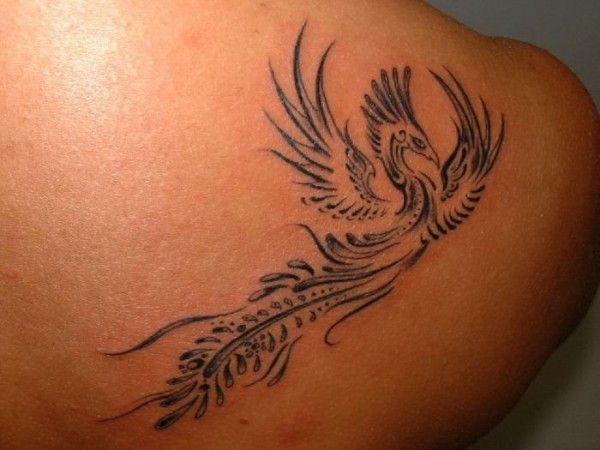 Tatuagens da Fênix (60)