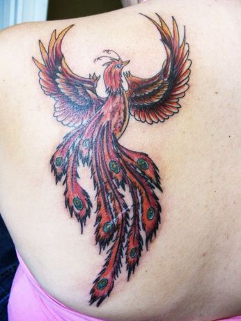 Tatuagens da Fênix (55)